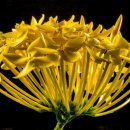 청도중앙초등학교 이미지