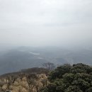 행복초등학교 버스승강장 옆 | 벳부 로프웨이 타고 츠루미다케 정상 산책 소요시간 실제 후기