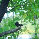 다비치히어링 수정점 이미지