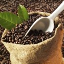 조경희농장 이미지