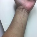 충만농장 이미지