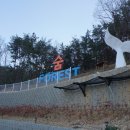포레스트카라반 이미지