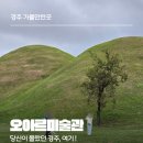 에츠하임건축디자인 | 경주 당일치기 황리단길 오아르미술관 다녀온 후기 (주차 정보)