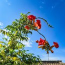 서해랑길22코스(무안구간) 이미지