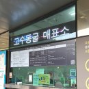 장갑세천5 | 충북 단양 가볼만한곳 , 고수동굴 입장료 할인 및 주차 관리 관람 시간 정보 솔직후기