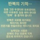하양대 이미지