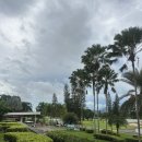 골드컨트리클럽 | 파타야 골프여행, 파타야 피닉스 골드 골프 &amp; 컨츄리클럽 라운딩 후기 (Phoenix Gold G&amp;CC)