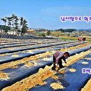 한국제일공인중개사사무소 이미지