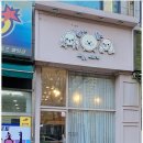 오늘 더 예쁘개 | 부천시애견미용 잘하는곳 오늘예쁘개 상동점에서 맞춤 케어받았어요