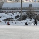 행제1리(연방죽) 이미지