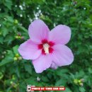 모곡1리 경로당 이미지