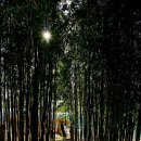 부산수목전시원 이미지