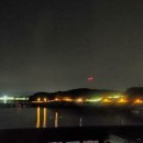 내가그린바다 이미지