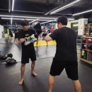 감정체육관 이미지