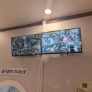 송선로 | 몽돌키즈카페 무제한 이용 : 캠핑 감성 가득 구미 밴프카페 솔직 후기