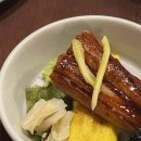 능동적장미 이미지