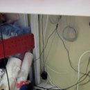 T&T 태권도장 이미지