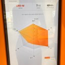 에스소프트 | 서울 강남 퍼스널컬러 에스이미지컬렉션 봄웜브라이트 진단후기