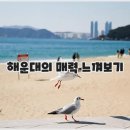 하운드 해운대 시그니처 호텔 | 해운대하운드호텔 - 하운드 호텔 해운대 시그니처, 부산 해운대 하운드 호텔, 해운대 유명호텔