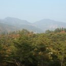 산림조합중앙회 임업인종합연수원 이미지