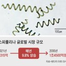 우주식품 조선일보