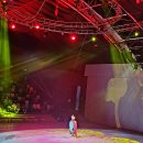 에코아트투어 이미지