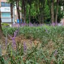 거북선공원(흥국체육관) 이미지