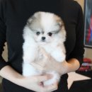 아이똑똑동탄 이미지