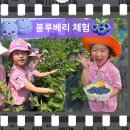 큰빛농장 이미지