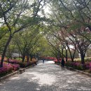 동인천역 교통광장 이미지