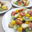 제주코기네 이미지