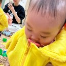 인창문화센터A | ✨ 이마트 문화센터 수업 다녀온 리얼 후기! | 문센 A 부터 Z까지