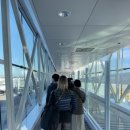 나시리 | 여자 혼자 그라나다 2박 3일 여행 일정 총정리