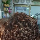 향기나라 이미지