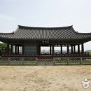 영천 보성리 암각화 이미지