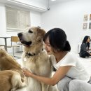 뭉스벨리 이미지