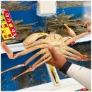 대가축산 이미지