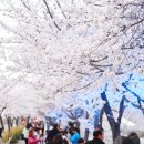 덕풍수변공원 이미지