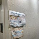 베릴키키 | 포항 영일대 실내애견동반카페 베릴키키 다녀온 후기 (2024.08.28 방문)