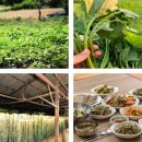 700빌리지 이미지