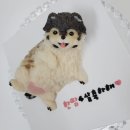 멍칫 | 구로 강아지 생일파티 생일케이크 멍칫에서 주문