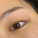 중앙동316 | 창원 상남동 속눈썹펌 추천 네일 더 무드 노글루 영양펌 후기