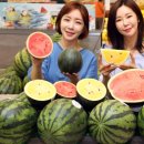 청량농협하나로마트 매일경제