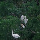 현풍자동차정비공장 이미지