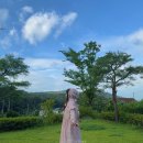 핑크어덜트 | 유앤진(unjin) 러블리 레인코트 어덜트 핑크&옐로우 후기 +) 불량품 당첨된 썰
