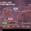 더큰두마리치킨&피자 이미지