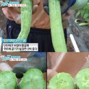 굿모닝농장 이미지