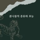 밭상구 이미지