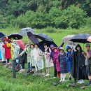 하동 섬진강변길 이미지