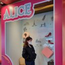 앨리스 도넛 이미지